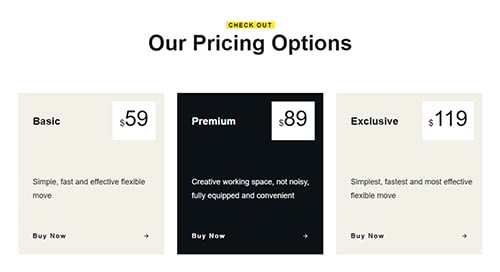 Company - Pricing Table - Pricing Table 06