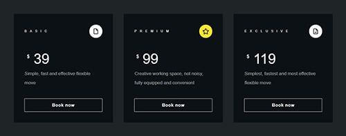 Company - Pricing Table - Pricing Table 04