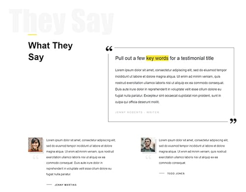 Company - Testimonials - Testimonials 01